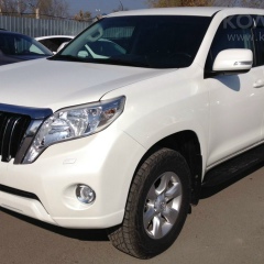 Арай Нуржанова, 14.11