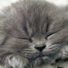 Натка Васильева, 09.03.1991