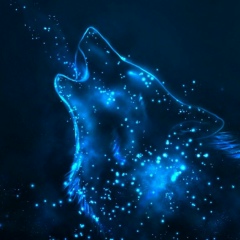 Nikita Naboychenko, 14.09, Ростов-на-Дону