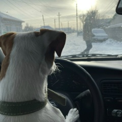 Наталья Дашевская, 22.08.1976, Астана