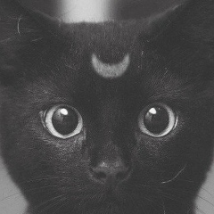 Мария Горячева, 16.02.1940, Жуковский