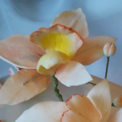 Мария Стрижко, 12.02.1988, Москва