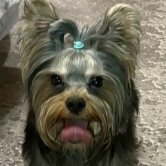 Антон Самойлов, 21.06.1989, Пенза