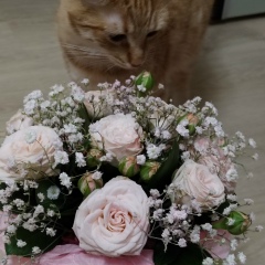 Людмила Копылова