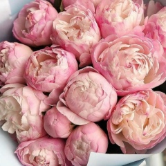 Розалия Султанова