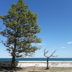 Людмила Отто, 03.09.1986, Санкт-Петербург