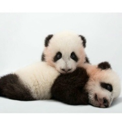 Мадина Джакаева, 07.04, Алматы