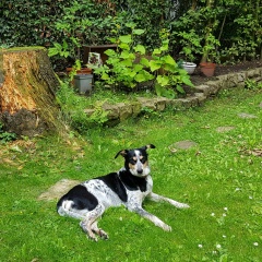 Ирина Гаврилова, 13.04, Aachen