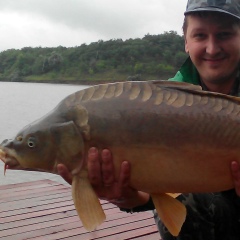 Сергей Попович, 09.02, Киев