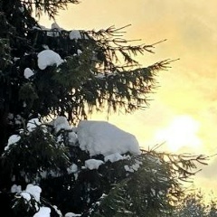 Светлана Есева, 28.05, Сыктывкар