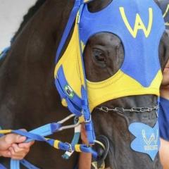 Галамат Шарип, 18.09.1995