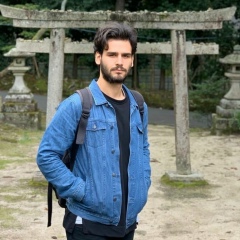 Николай Горышник, Москва