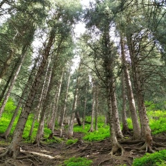 Aigerima Sadyrkulova, 25.01.1992, Алматы