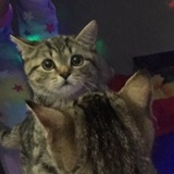 Михаил Медведев, 03.11.1991, Рудный