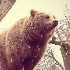 Юрий Демченко, 01.06, Ростов-на-Дону