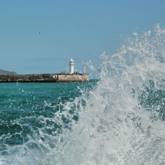Наталья Залогина, 20.11