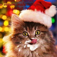 Анжелика Ливинг, 18.01, Москва