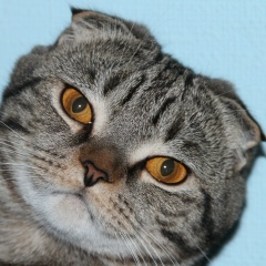 Раф Кистаубаев, 21.06, Актау