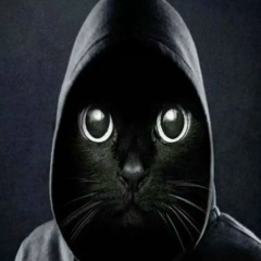 Дени Макалистер, Стаханов