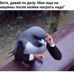 Александр Голуб, 20.04.1963