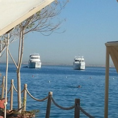 Надежда Осипова, 25.09, Москва