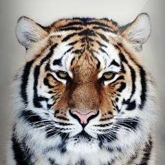 Женя Варварский, 27.01, Кривой Рог