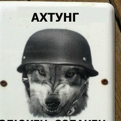 Виктор Алешин, 07.01.1984, Киев