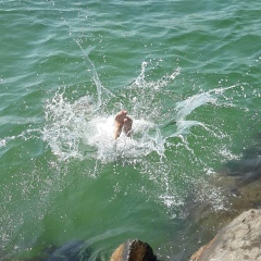 Диана Резник, 24.05, Киев