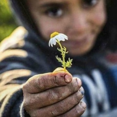 Imran Chapsurkaev, 15.10.1990, Шали