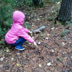 Артур Хаертдинов, Сургут