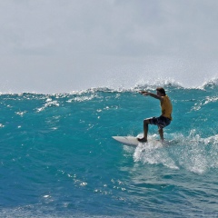 Дмитрий Гришин, Москва