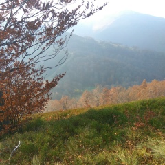 Дмитрий Заяц, 21.06, Черновцы