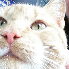 Олег Халимончук, 16.09.1986, Житомир