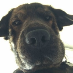 Рамиль ___, 26.01, Омск