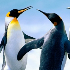 Юка Энергетическая, 11.07, Москва