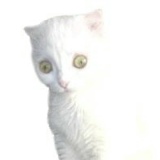 Егорушка Прусов, 10.08.1986, Самара