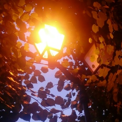 Ольга Крайнова, 22.12, Иваново