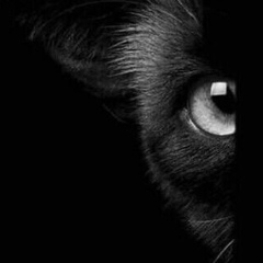 Светлана Косулина, 09.06, Ставрополь