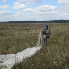 Наталія Кляшторна, 17.11, Киев