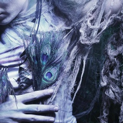 Everton Fernandes, 24.11.1910, Brasília