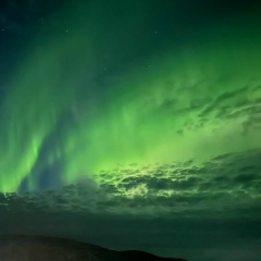 Алексей Андрианов, 15.11.1991