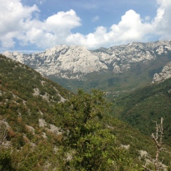 Катерина Плескачева, 07.01.1986, Санкт-Петербург