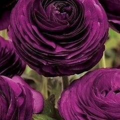 Мадина Баскаева, 15.07, Москва