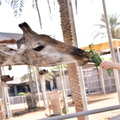 Ксения Новоселова, 27.04.1984, Санкт-Петербург