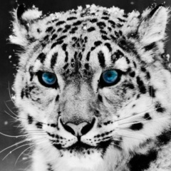 Батыр Асубаев, 25.06, Алматы