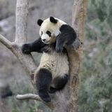 Анна Ефимова, 08.03.1987, Новосибирск