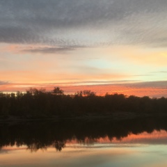 Михаил Плотников, 29.07, Омск