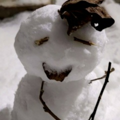 Сергей Funkolove, 14.08.1994, Санкт-Петербург