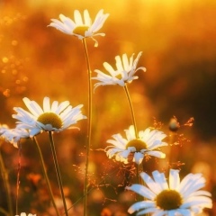 Карина Михайлова, 12.09, Санкт-Петербург