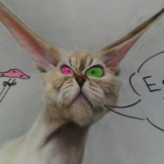 Артем Демин, Реутов